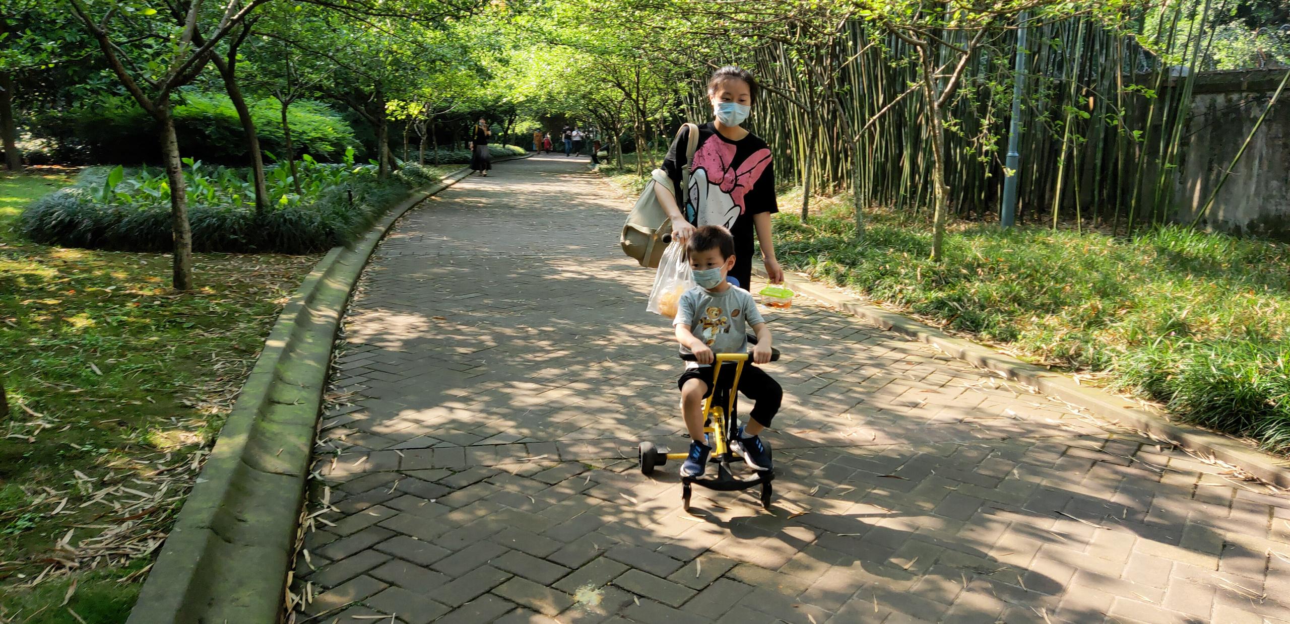 共享童車在景區(qū)投放中的優(yōu)勢