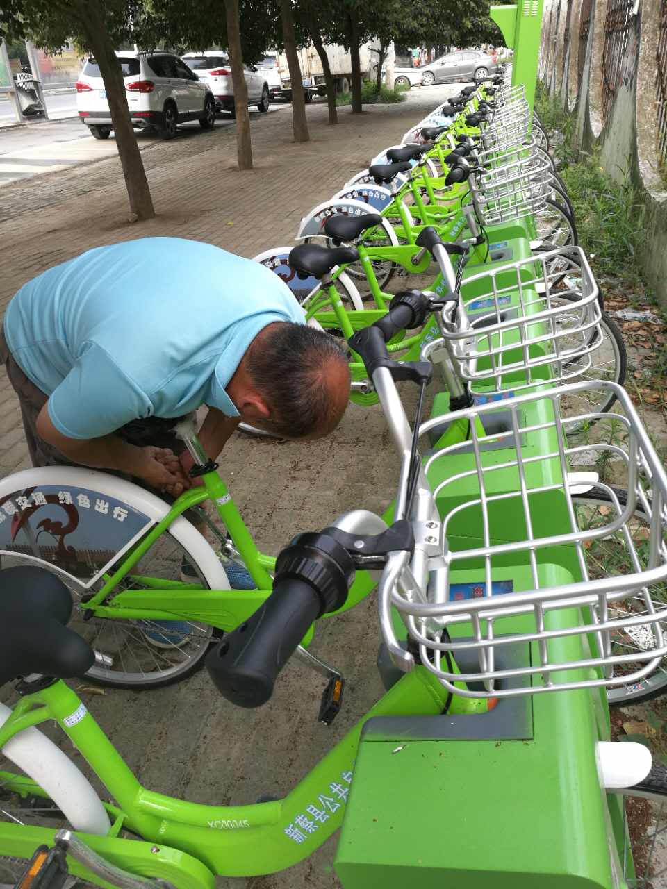 新蔡縣<a href=http://www.shengwangyaoye.com/ target=_blank class=infotextkey>公共自行車</a>"width="500"