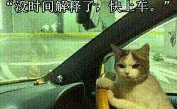 共享雨傘|法瑞納共享雨傘|共享雨傘系統(tǒng)|共享雨傘生產(chǎn)廠家|花粉共享雨傘|沒時(shí)間解釋了快上車".jpg"